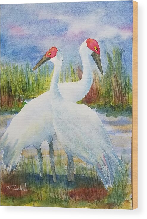 Sandhill Cranes Wood Print featuring the painting The Locals by Ann Frederick