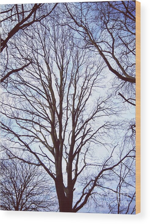 Tree Wood Print featuring the photograph Tree of Hope by Rebecca Harman