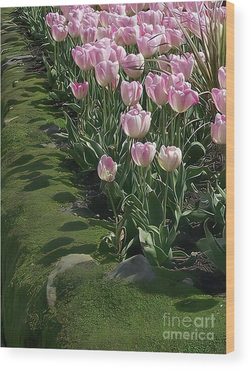 Tulips Wood Print featuring the photograph Tulip Parade by Jolanta Anna Karolska