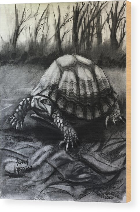 Charcoal Wood Print featuring the drawing Turtle in Charcoal by Jordan Henderson