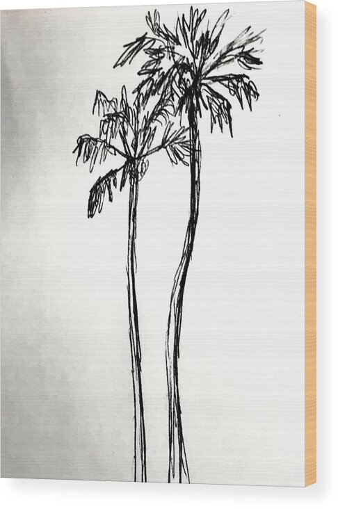Drawing Picture Of Coconut Tree Coconut Tree Sketch PNG Image With  Transparent Background | TOPpng