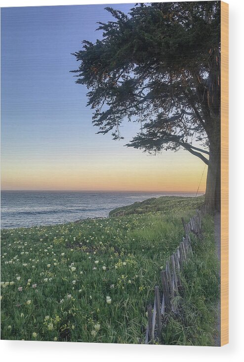 West Cliff Drive Wood Print featuring the photograph West Cliff Path by Jennifer Kane Webb