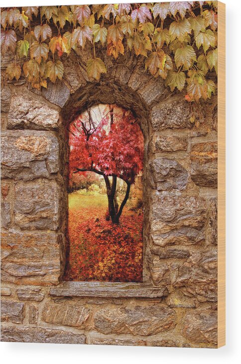Nature Wood Print featuring the photograph Window to Autumn by Jessica Jenney