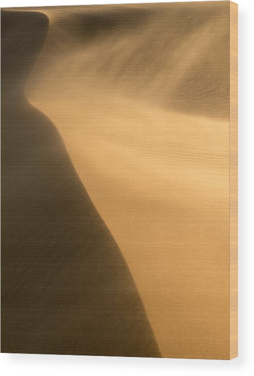 Sand Dune Wood Print featuring the photograph Windy Sand Dune by Peter Boehringer