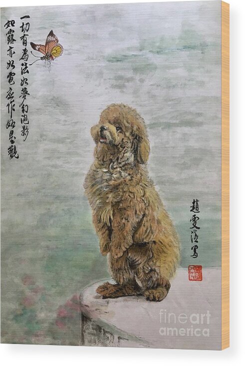 Shih Tzu Dog Wood Print featuring the painting Zen Observed by Carmen Lam