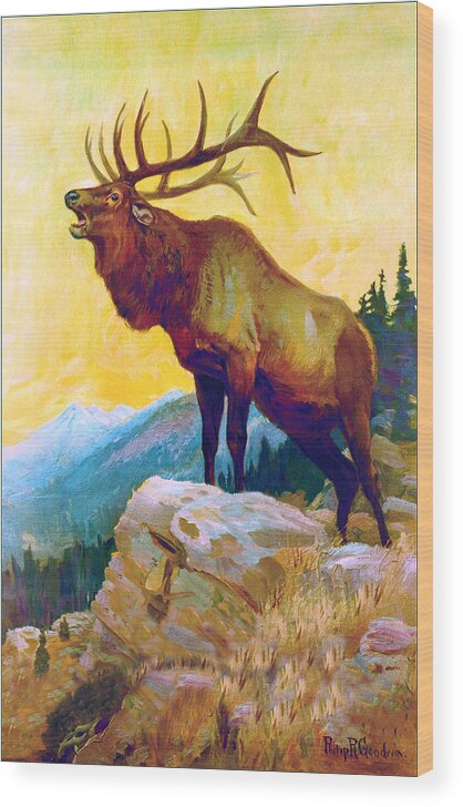 Outdoor Wood Print featuring the painting Bugling Elk by Philip R Goodwin