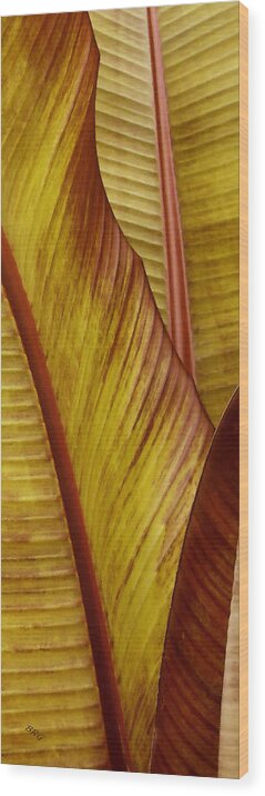 Botanical Abstract Wood Print featuring the photograph Repose - Leaf by Ben and Raisa Gertsberg