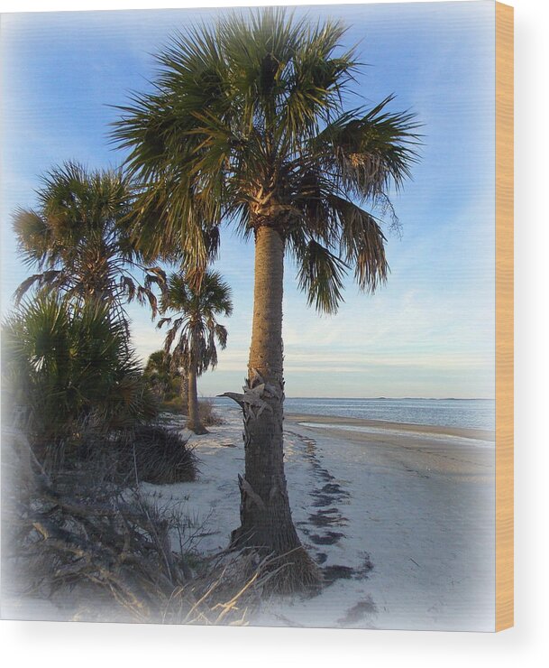 Tree Wood Print featuring the photograph Seahorse Key 2 #1 by Sheri McLeroy