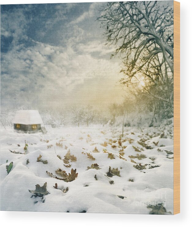 Christmas Wood Print featuring the digital art Winter Landscape #2 by Jelena Jovanovic