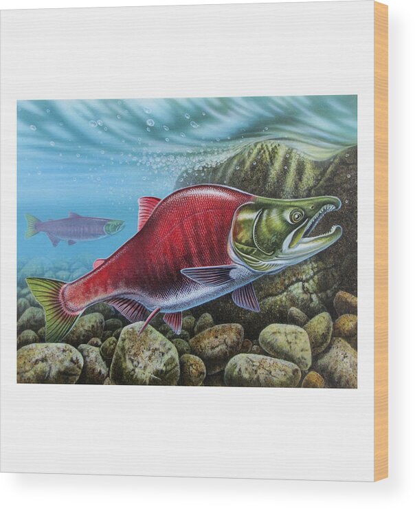 Jon Q Wright Wood Print featuring the painting Sockeye Salmon #3 by JQ Licensing