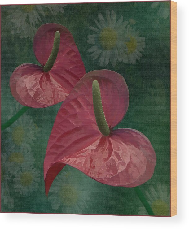 Anthurium Wood Print featuring the photograph A Pair of Hearts by Steve Zimic