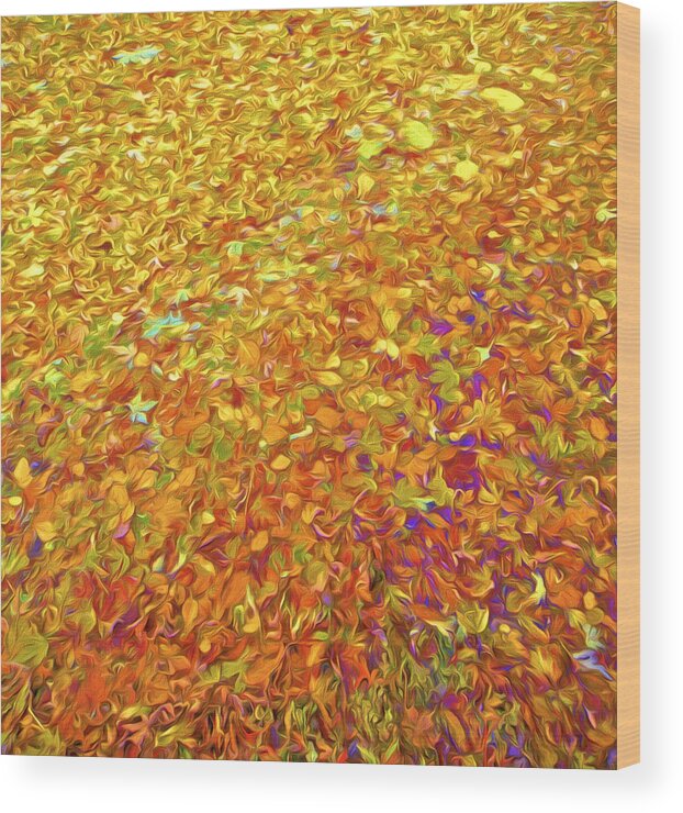 Abstract Wood Print featuring the photograph Autumn Leaves by David Letts