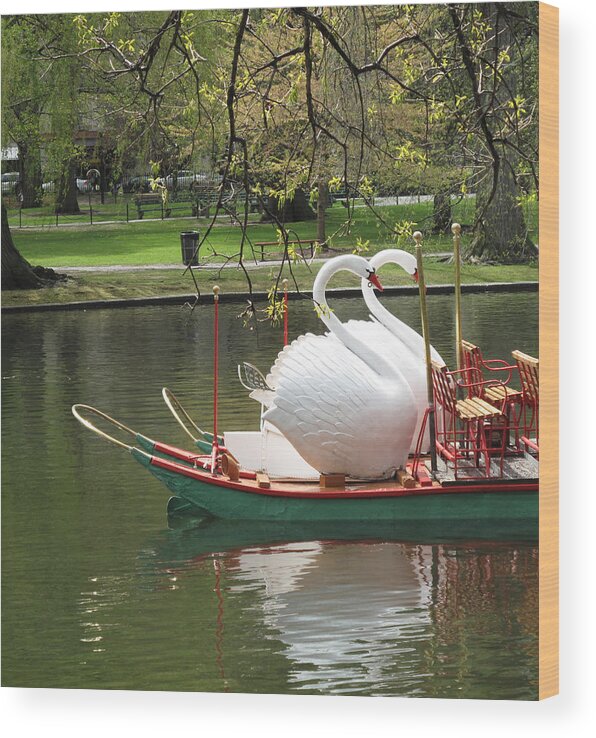 Landscape Wood Print featuring the photograph Boston Swan Boats by Barbara McDevitt