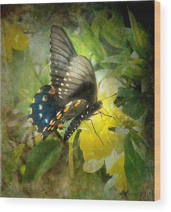 Butterfly And Jasmine - Bill Voizin Wood Print featuring the photograph Butterfly and Jasmine by Bill Voizin