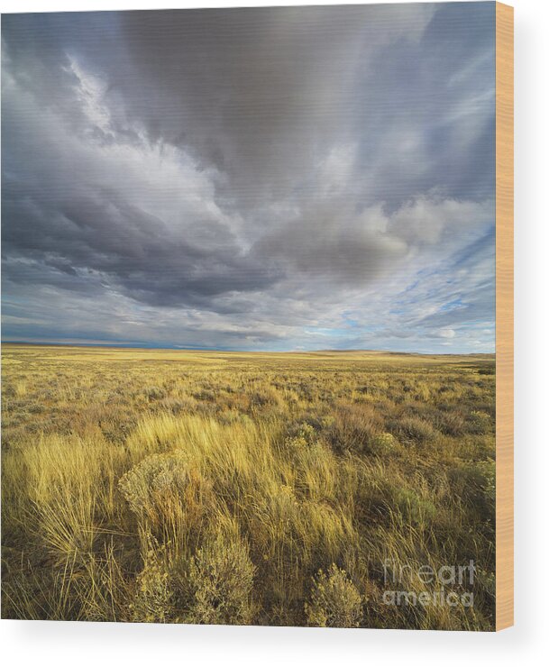 00463511 Wood Print featuring the photograph Clouds and Prairie Hart Mt N R by Yva Momatiuk John Eastcott