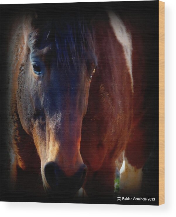 Horse Wood Print featuring the photograph Dawsonaya by Rabiah Seminole