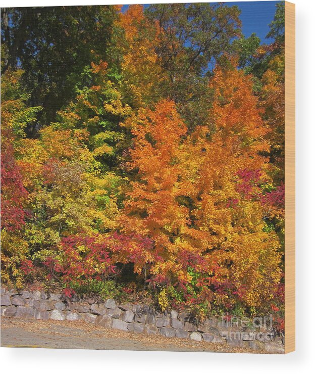 Kathie Chicoine Wood Print featuring the photograph Devil's Lake State Park by Kathie Chicoine