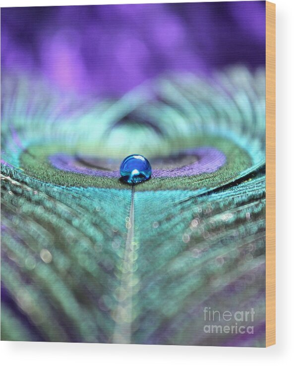 Peacock Feather Wood Print featuring the photograph Exotic Peacock by Krissy Katsimbras