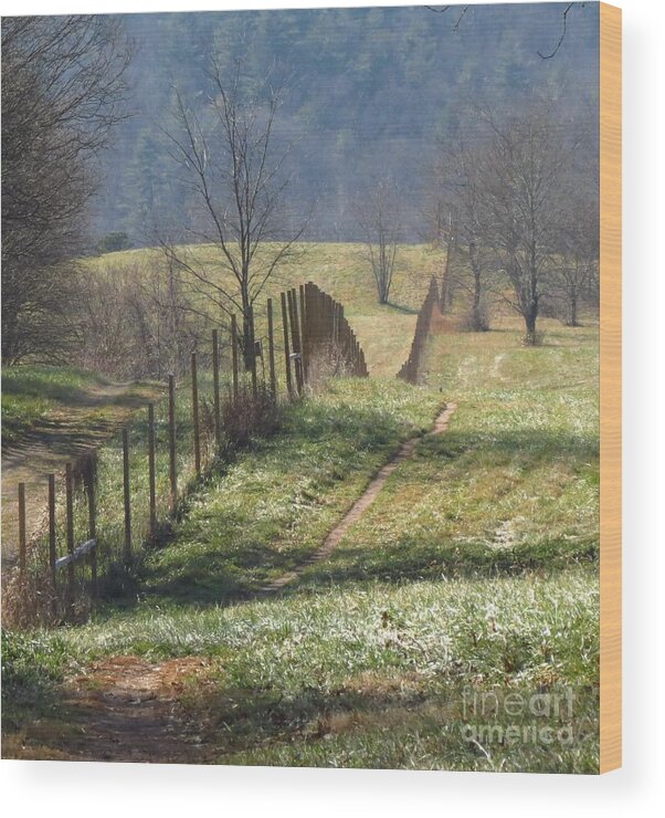 Fence Wood Print featuring the photograph Fence View by Anita Adams