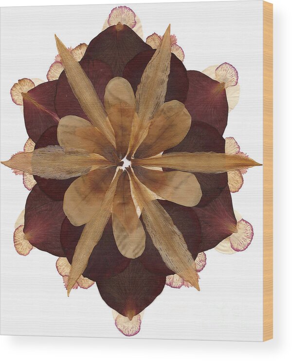 Flower Wood Print featuring the mixed media Flower Mandala 3 by Michelle Bien