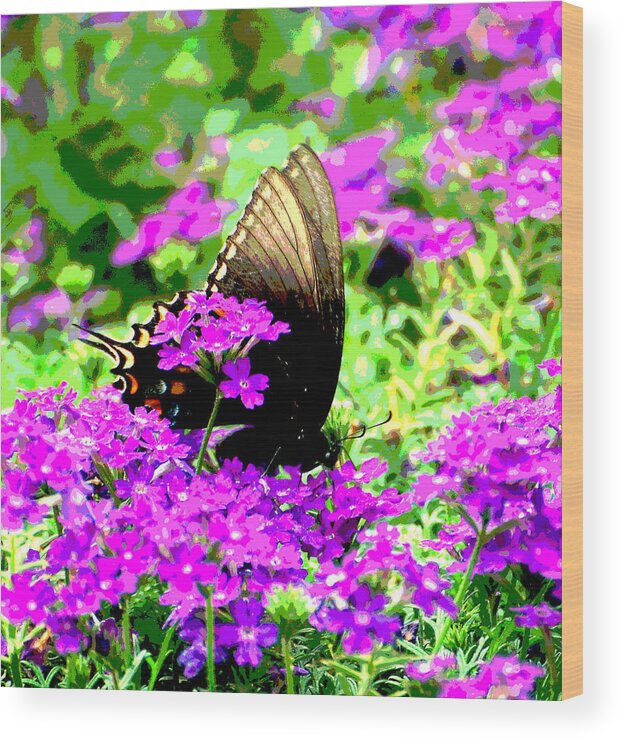 Butterfly Wood Print featuring the photograph Butterfly Gold Tips by Linda Cox