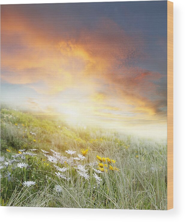Beauty Wood Print featuring the photograph New day dawn by Les Cunliffe