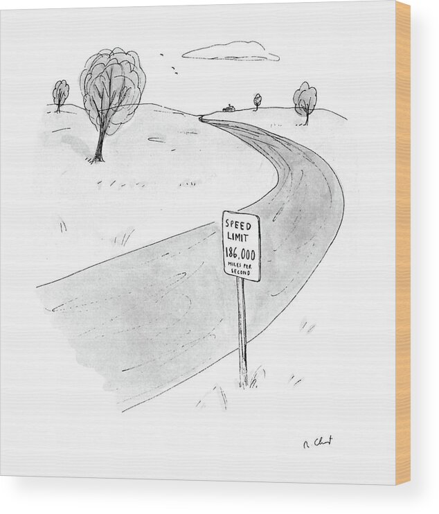 Speed Wood Print featuring the drawing New Yorker March 28th, 1988 by Roz Chast