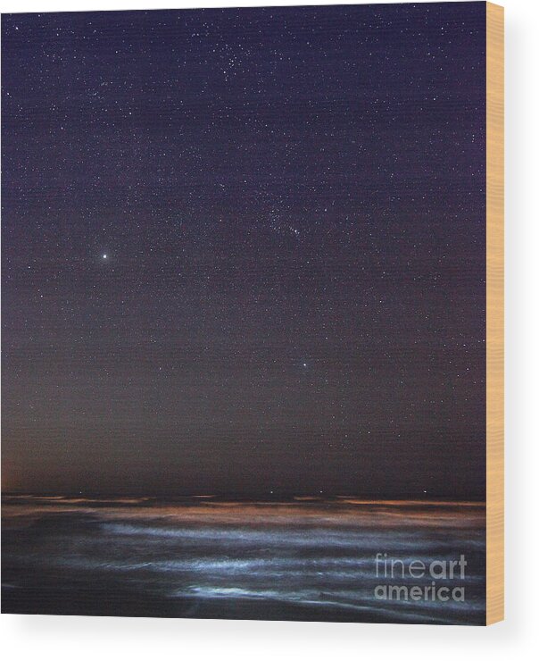 Starry Sky Wood Print featuring the photograph Night Beach by Martin Konopacki