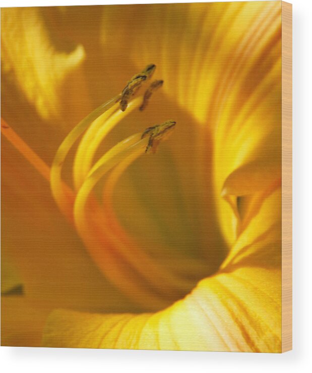 Yellow Wood Print featuring the digital art The Stamen by Linda Segerson