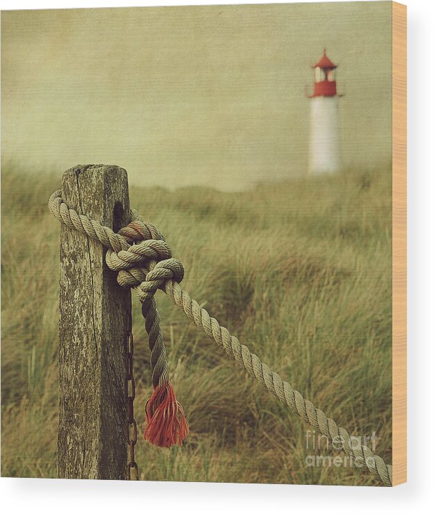 Lighthouse Wood Print featuring the photograph To The Lighthouse by Hannes Cmarits