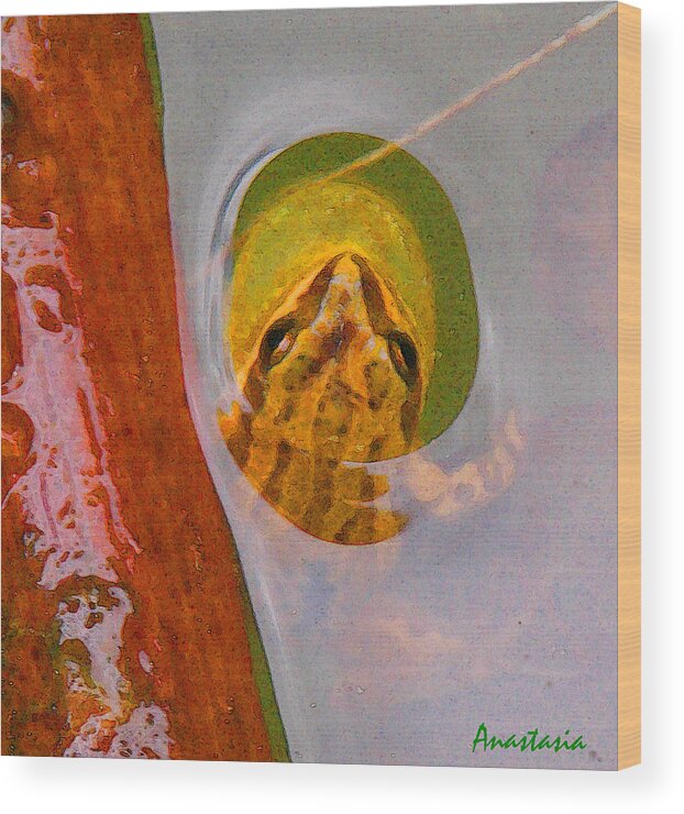 Western Chorus Frog Wood Print featuring the photograph Western Chorus Frog I by Anastasia Savage Ealy