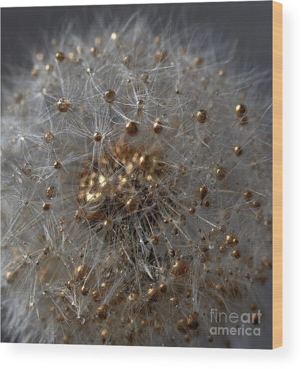 Golden Wood Print featuring the photograph Golden Flower #2 by Sylvie Leandre