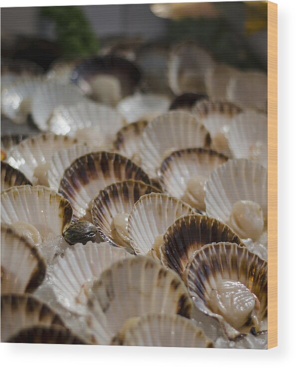 Scallops Wood Print featuring the photograph Fresh from the Sea by Heather Applegate