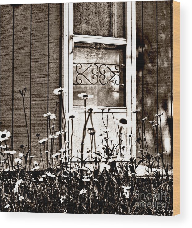 Retro Wood Print featuring the photograph The Screen Door by Terry Doyle