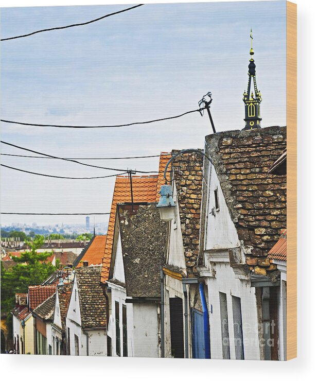Roofs Wood Print featuring the photograph Zemun rooftops in Belgrade 3 by Elena Elisseeva