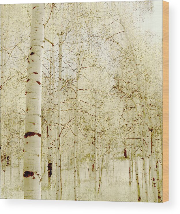 Trees Wood Print featuring the photograph 4201 by Peter Holme III