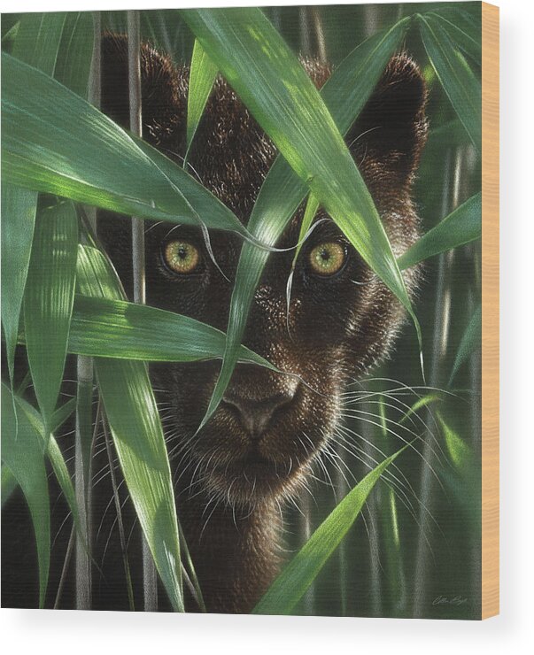 Black Panther Wood Print featuring the painting Black Panther - Wild Eyes by Collin Bogle