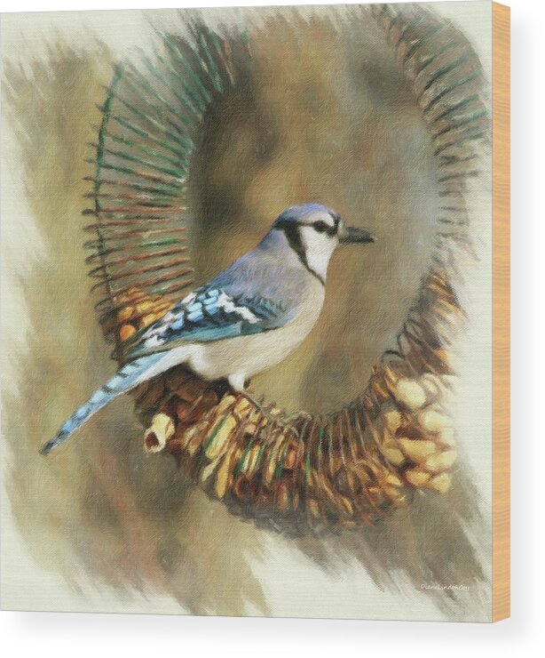 Blue Wood Print featuring the photograph Blue Jay Staking Its Claim by Diane Lindon Coy