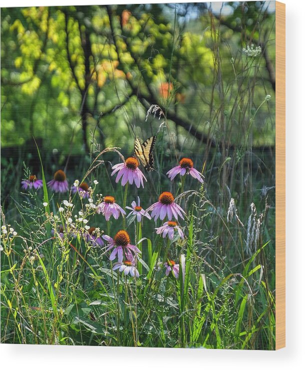 Tiger Swallowtail Butterfly Wood Print featuring the photograph Butterfly Garden by Ronda Ryan