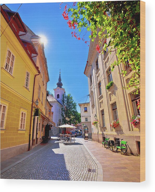 Capital Wood Print featuring the photograph Cobbled old street and church of Ljubljana vertical view by Brch Photography