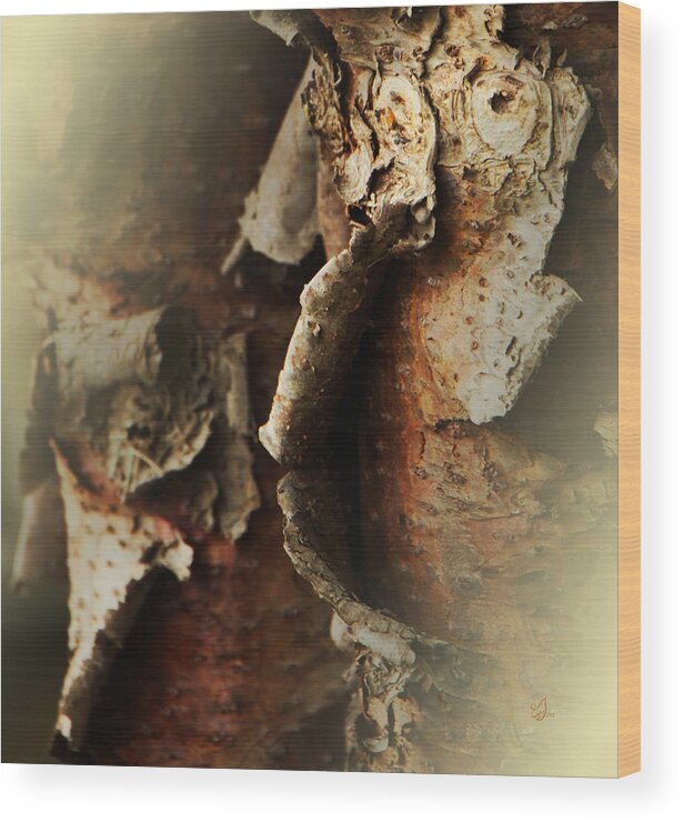 Trunk Wood Print featuring the photograph Core's Layers by Music of the Heart
