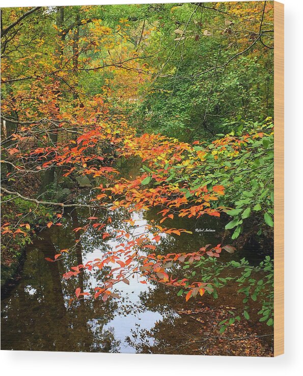 Fall Leaves Wood Print featuring the photograph Fall is in the Air by Rafael Salazar