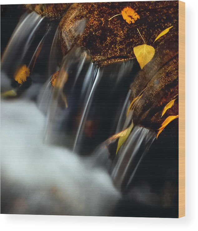 Autumn Wood Print featuring the photograph Falls Of Autumn by Steven Milner