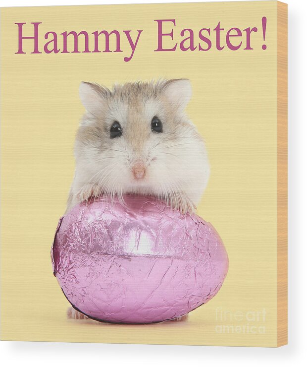 Roborovski Hamster Wood Print featuring the photograph Hammy Easter by Warren Photographic