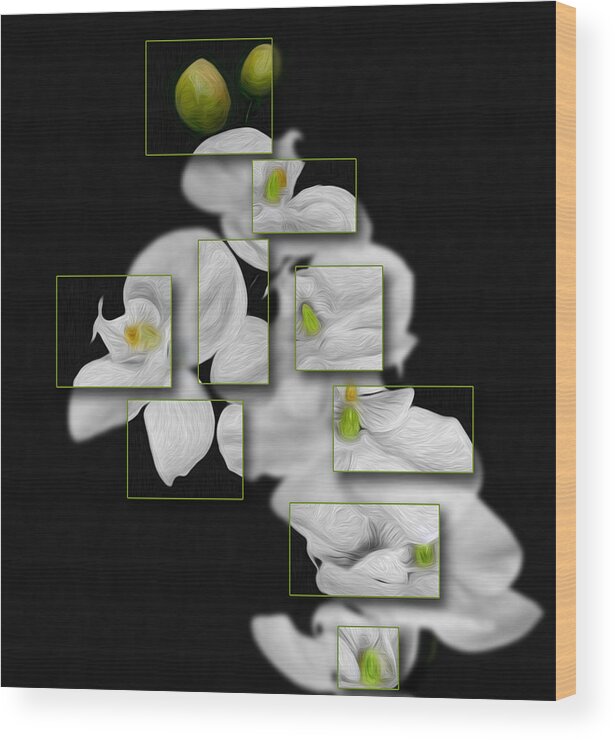 Flower Wood Print featuring the photograph In and Out of Focus 2 by Cecil Fuselier