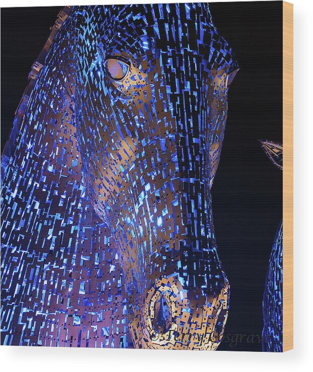 Horses Wood Print featuring the photograph Kelpies Scotland by Terry Cosgrave