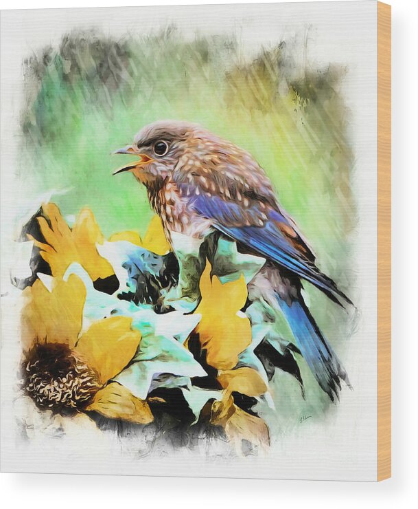 Bluebird Wood Print featuring the photograph Learning To Sing by Tina LeCour