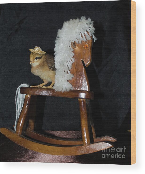 Bird Wood Print featuring the photograph Me And My Rocking Horse by Donna Brown