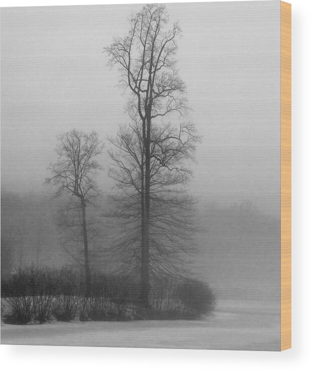 Black And White Wood Print featuring the photograph Misty Winter Day by GeeLeesa Productions