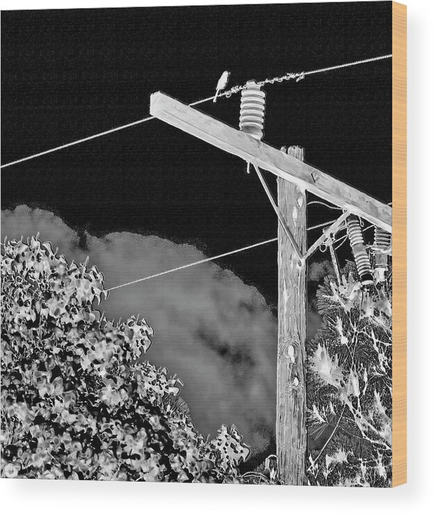 Mockingbird Wood Print featuring the photograph Mockingbird on a Wire by Gina O'Brien